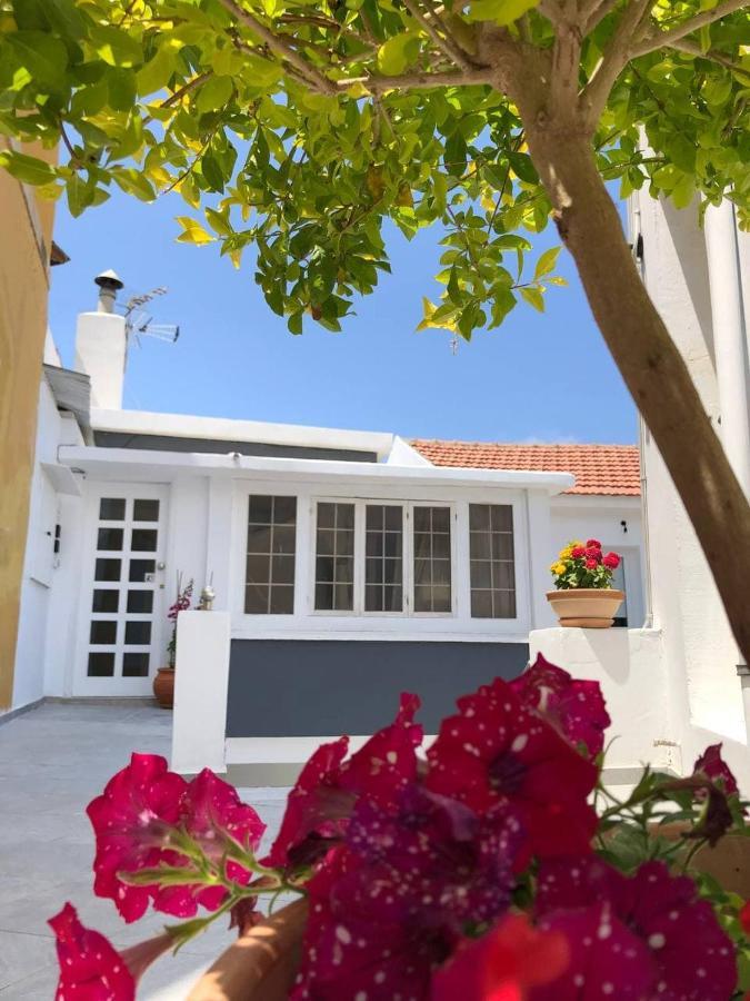 Katsikantaris Homes Paphos Bagian luar foto